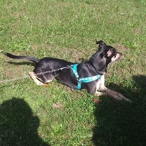 Meet your Posher, Xay xay